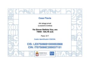Codice identificativo nazionale e codice identificativo struttura casa Flavia
